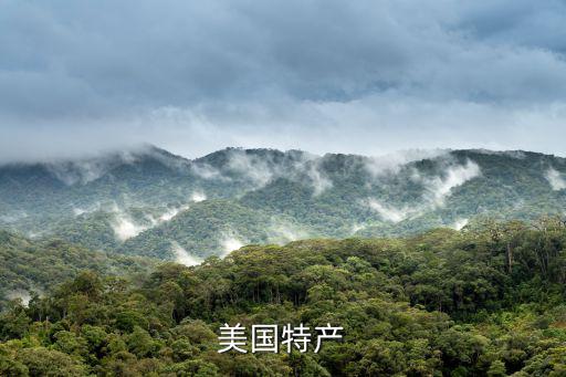 美國(guó)特產(chǎn)