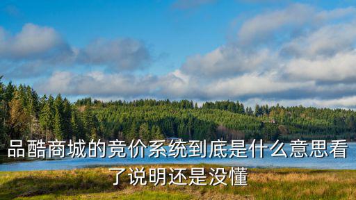 品酷商城的競價系統到底是什么意思看了說明還是沒懂