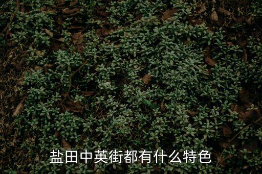 深圳中英街，深圳中英街在哪里
