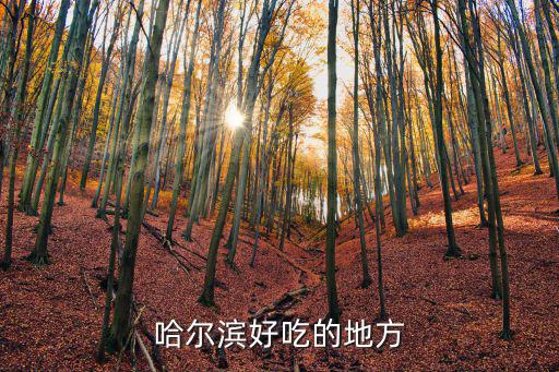 哈爾濱好吃的地方