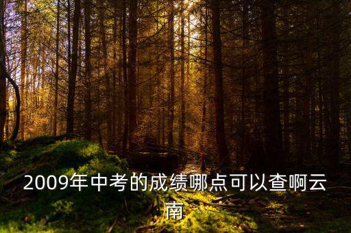 2009年中考的成績哪點可以查啊云南