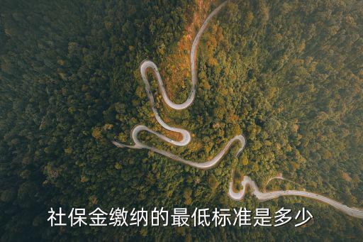 社保金繳納的最低標(biāo)準(zhǔn)是多少