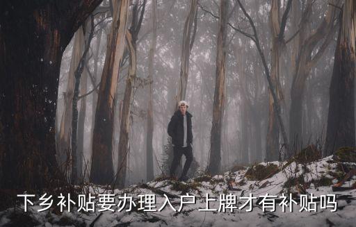 下鄉(xiāng)補(bǔ)貼要辦理入戶上牌才有補(bǔ)貼嗎