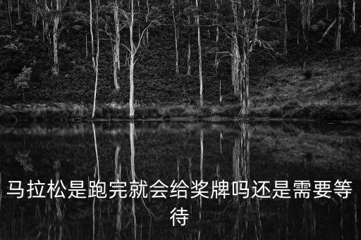 馬拉松獎牌，廣州迷你拉馬松有獎牌嗎