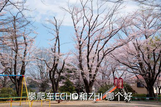 攀爬車ECHO和ZHI 哪個好
