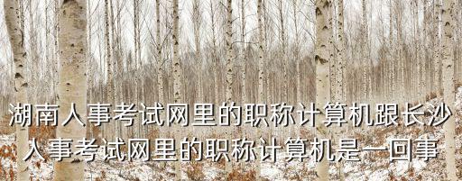 湖南人事考試網(wǎng)里的職稱計算機跟長沙人事考試網(wǎng)里的職稱計算機是一回事