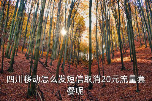 四川移動怎么發短信取消20元流量套餐呢