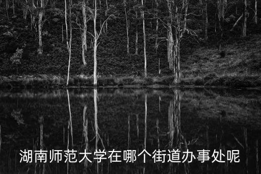 湖南師范大學在哪個街道辦事處呢