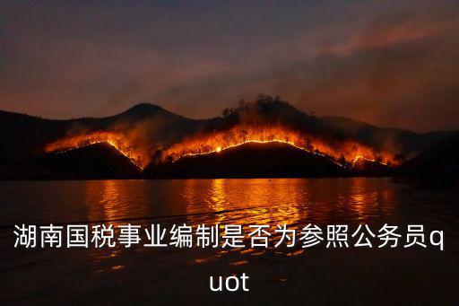 湖南國稅，湖南國稅事業編制是否為參照公務員