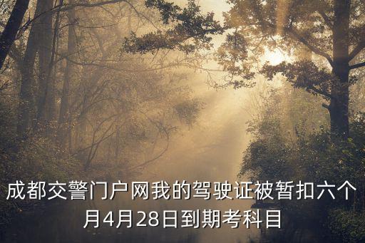 成都交警官網(wǎng)，成都交警網(wǎng)川A543U5違章