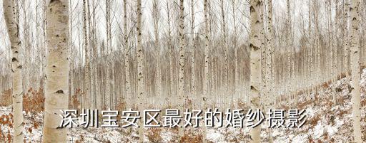 深圳寶安區(qū)最好的婚紗攝影
