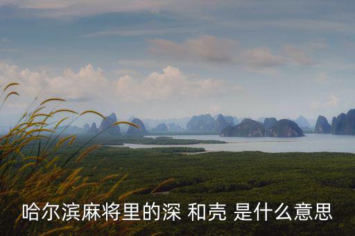 哈爾濱麻將里的深 和殼 是什么意思
