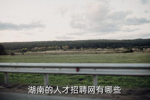 湖南的人才招聘網有哪些