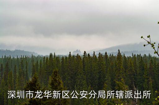 龍華派出所，龍華站到龍華派出所多少公里 怎么坐車