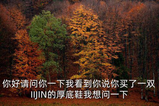 你好請問你一下我看到你說你買了一雙IIJIN的厚底鞋我想問一下