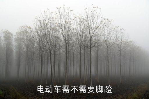電動車需不需要腳蹬