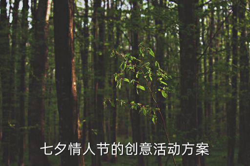 七夕情人節的創意活動方案