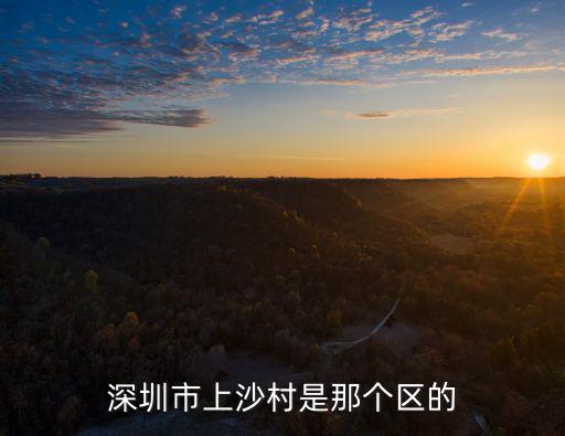 深圳市上沙村是那個區(qū)的