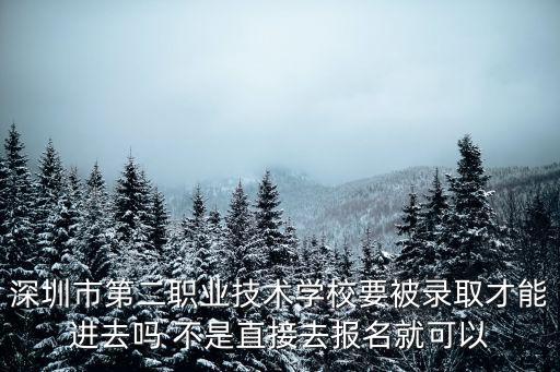深圳市第二職業(yè)技術(shù)學(xué)校，深圳市第二職業(yè)技術(shù)學(xué)?？梢灾苯尤?bào)名嗎
