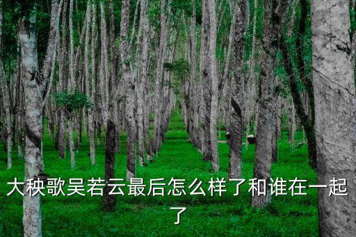 大秧歌吳若云最后怎么樣了和誰在一起了