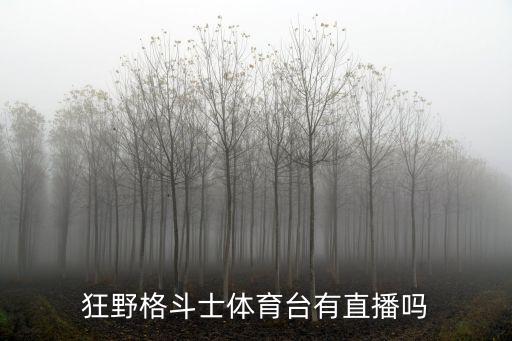 狂野格斗士體育臺有直播嗎