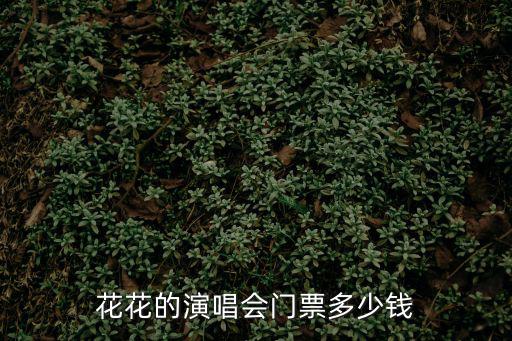 華晨宇演唱會(huì)門票，花花的演唱會(huì)門票多少錢