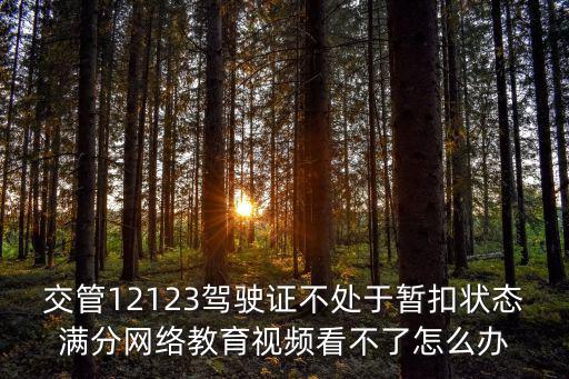 交管12123駕駛證不處于暫扣狀態滿分網絡教育視頻看不了怎么辦