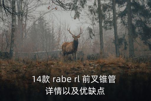 14款 rabe rl 前叉錐管 詳情以及優缺點