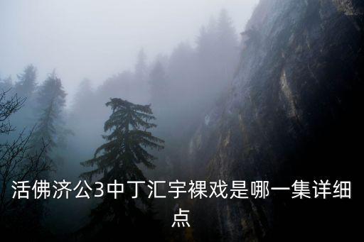 活佛濟公3中丁匯宇裸戲是哪一集詳細點