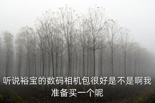 聽說裕寶的數碼相機包很好是不是啊我準備買一個呢