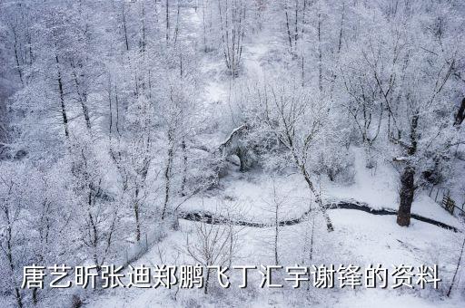 唐藝昕張迪鄭鵬飛丁匯宇謝鋒的資料