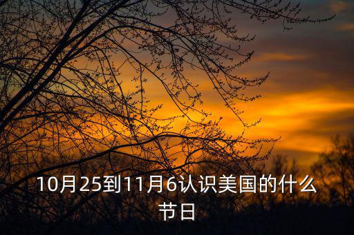 美國(guó)的節(jié)日，美國(guó)節(jié)日有哪些