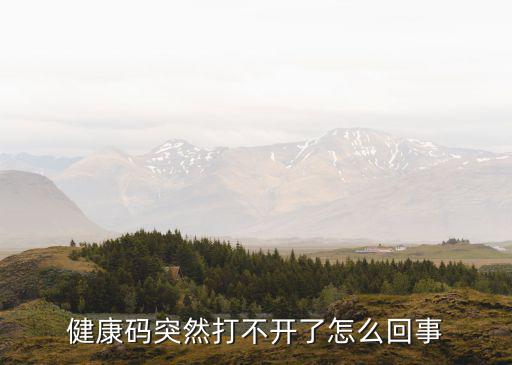 健康碼打不開，我己成功申領(lǐng)了健康碼但不會使用不知道怎么操作出示