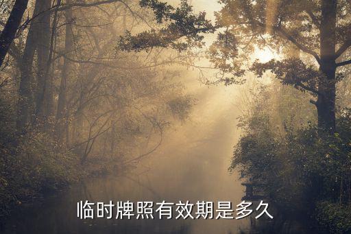 臨時牌照有效期是多久