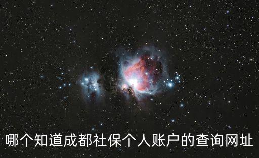 哪個(gè)知道成都社保個(gè)人賬戶的查詢網(wǎng)址