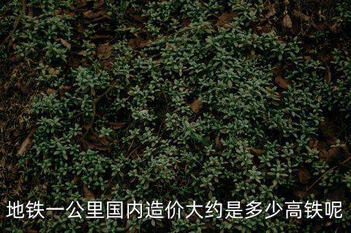 地鐵一公里國內造價大約是多少高鐵呢
