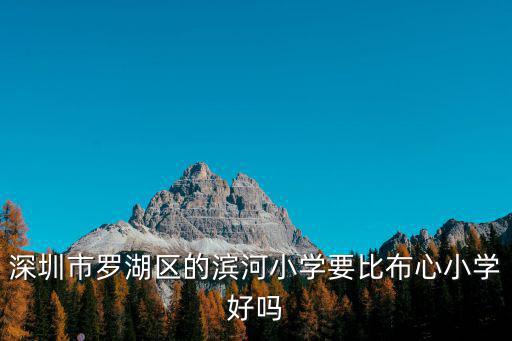 深圳市羅湖區的濱河小學要比布心小學好嗎