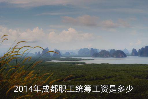 2014年成都職工統籌工資是多少