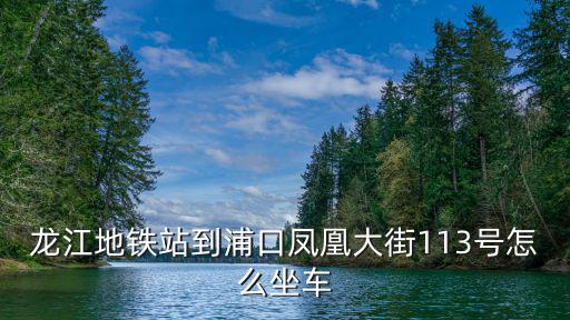 龍江地鐵站到浦口鳳凰大街113號怎么坐車