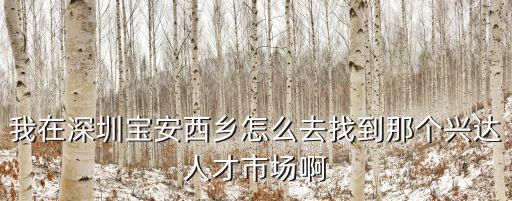 興達(dá)人才市場，在深圳興達(dá)人力資源市場是不是寶安區(qū)最好的