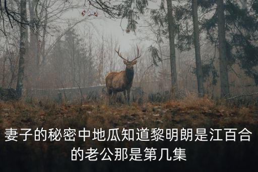 黎明朗，妻子的秘密中地瓜知道黎明朗是江百合的老公那是第幾集