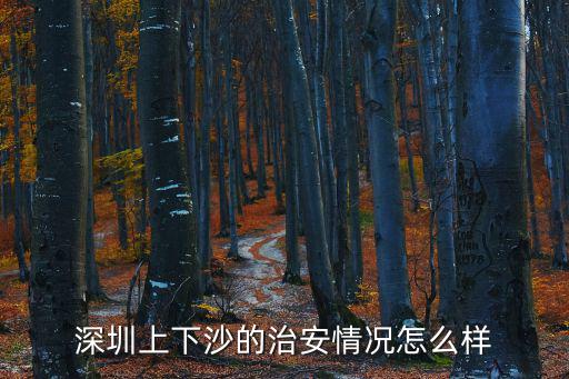 深圳上下沙的治安情況怎么樣