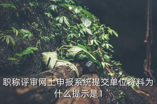 職稱評定網上申報系統，職稱申報專家是審核系統還是審核紙質文件