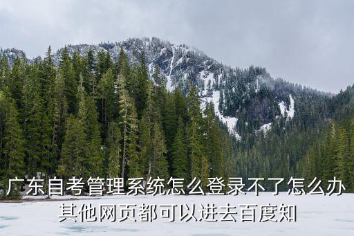 廣東自考管理系統(tǒng)怎么登錄不了怎么辦其他網(wǎng)頁(yè)都可以進(jìn)去百度知
