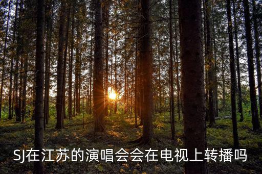 四川衛視直播在線觀看，有誰知道四川衛視衛星最新參數