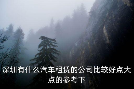 深圳有什么汽車租賃的公司比較好點大點的參考下
