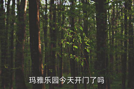 瑪雅樂園，南昌瑪雅樂園里項目有體重身高限制嗎