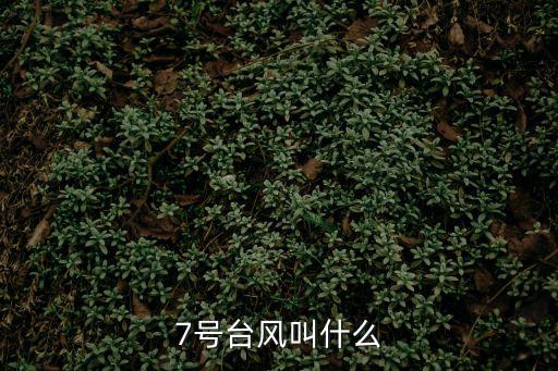 7號臺風，7號臺風叫什么