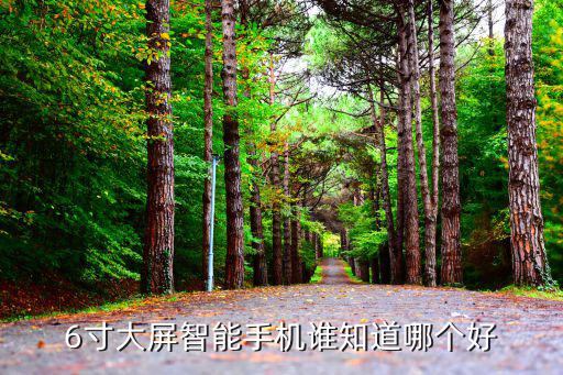 6寸大屏智能手機誰知道哪個好