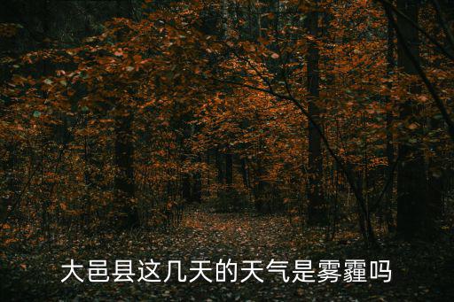 大邑縣這幾天的天氣是霧霾嗎